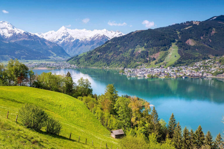 Absolut Immobilien - Testbild